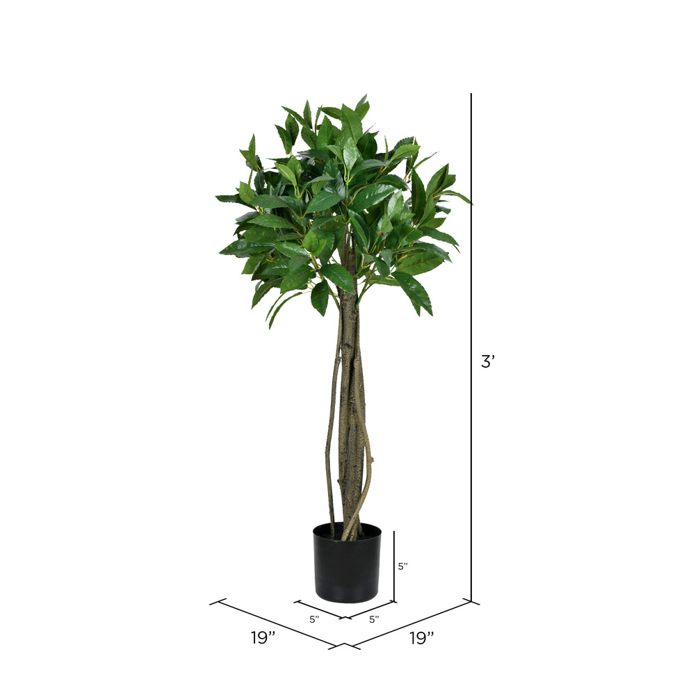 Vickerman 3' Artificial Potted Bay Leaf Topiary
