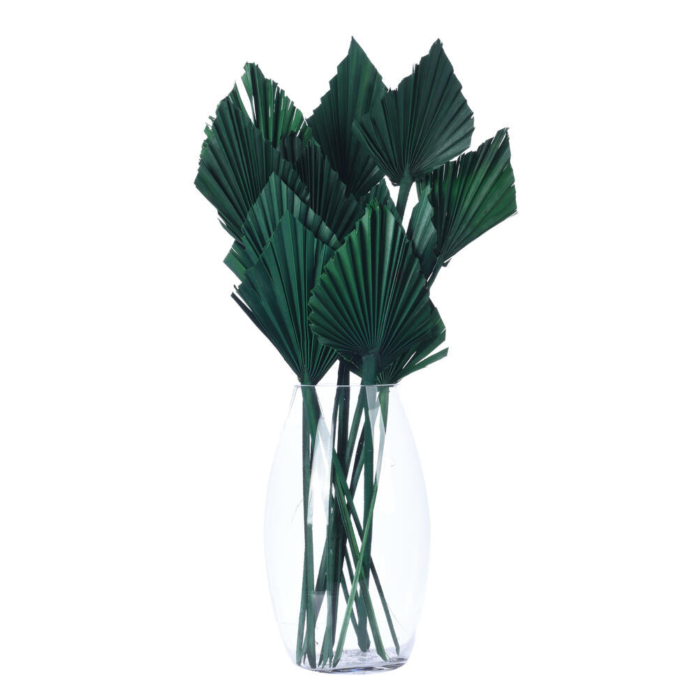 Vickerman Natural Botanicals 15.75 - 19.5" Emerald Dried Palm Spear 12 per bag.