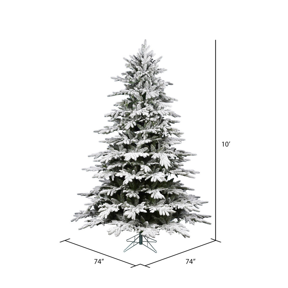 Vickerman 10' x 74" Unlit Flocked Kamas Fraser Artificial Christmas Tree