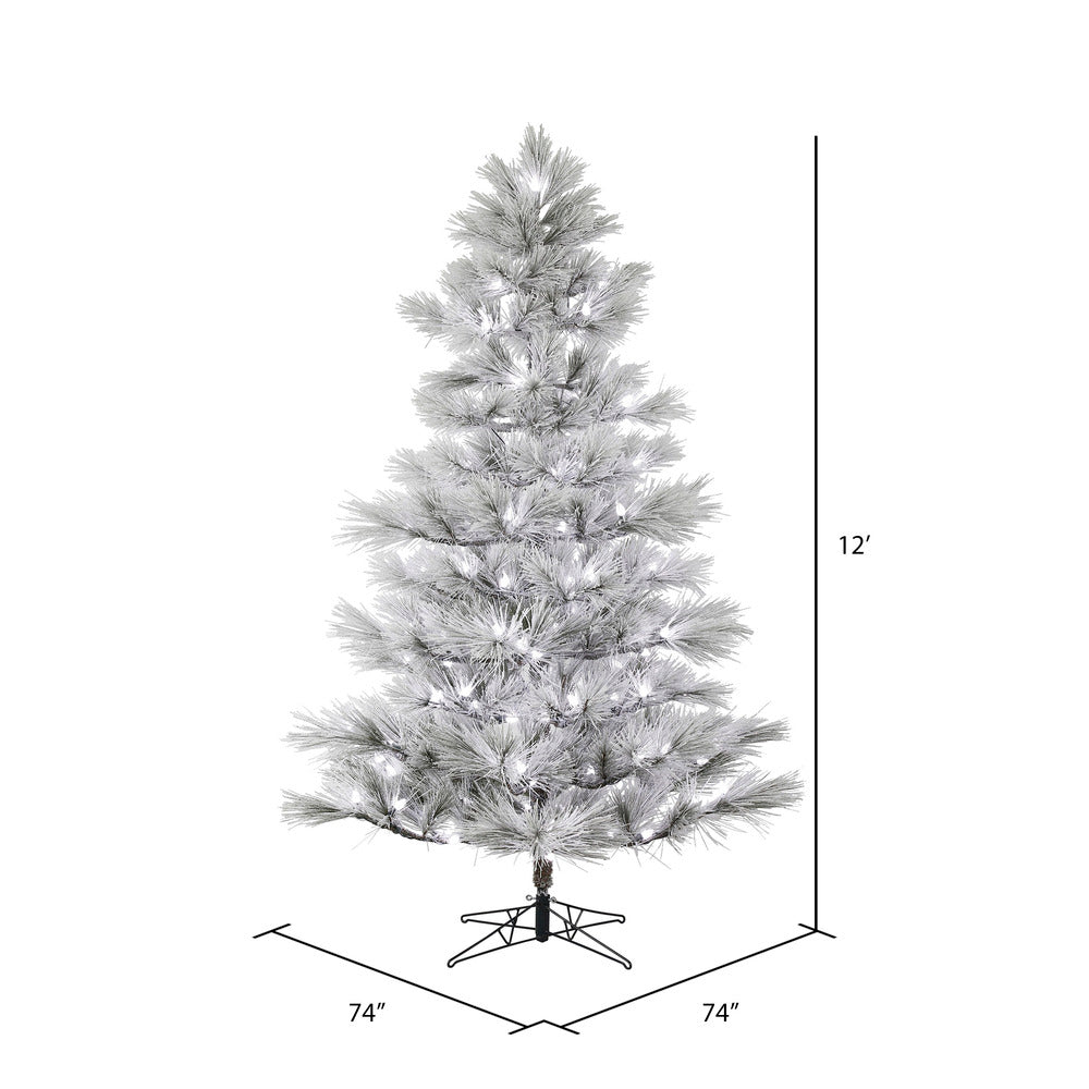 Vickerman 12' x 74" Flocked Alder Long Needle Pine Artificial Christmas Tree Frosted White C7 LED Lights