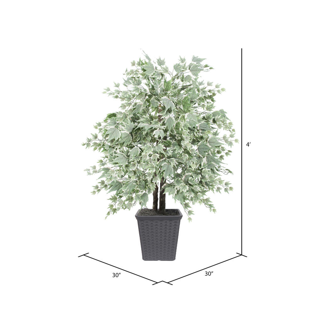 Vickerman 4' Artificial Silver Maple Bush Gray Square Plastic Container