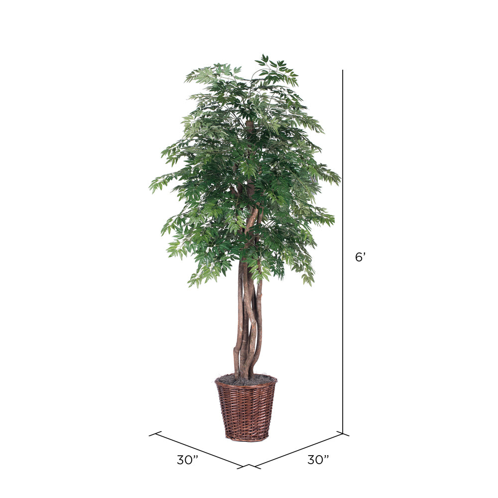Vickerman 6' Artificial Ming Aralia Executive Rattan Basket.