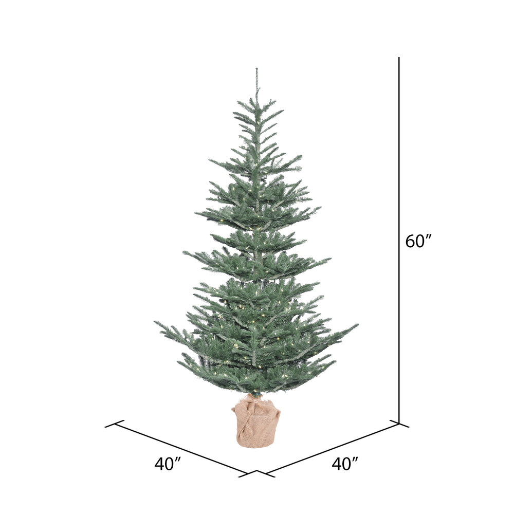 Vickerman 5' Alberta Blue Spruce Artificial Christmas Tree Warm White Dura-lit LED Lights