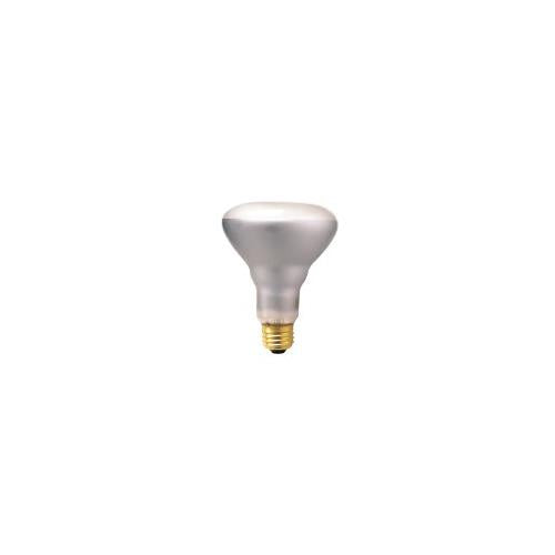 Bulbrite 65BR30FL2 65 Watt Incandescent BR30 Reflector, Flood, Medium Base, Clear
