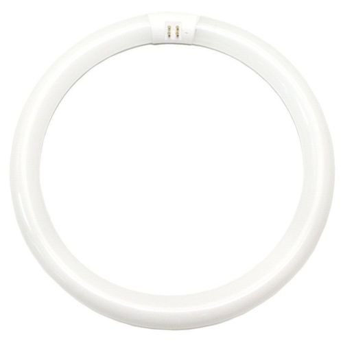 GE Lighting 11039 32-Watt DayLight Circline T9 Light Bulb,