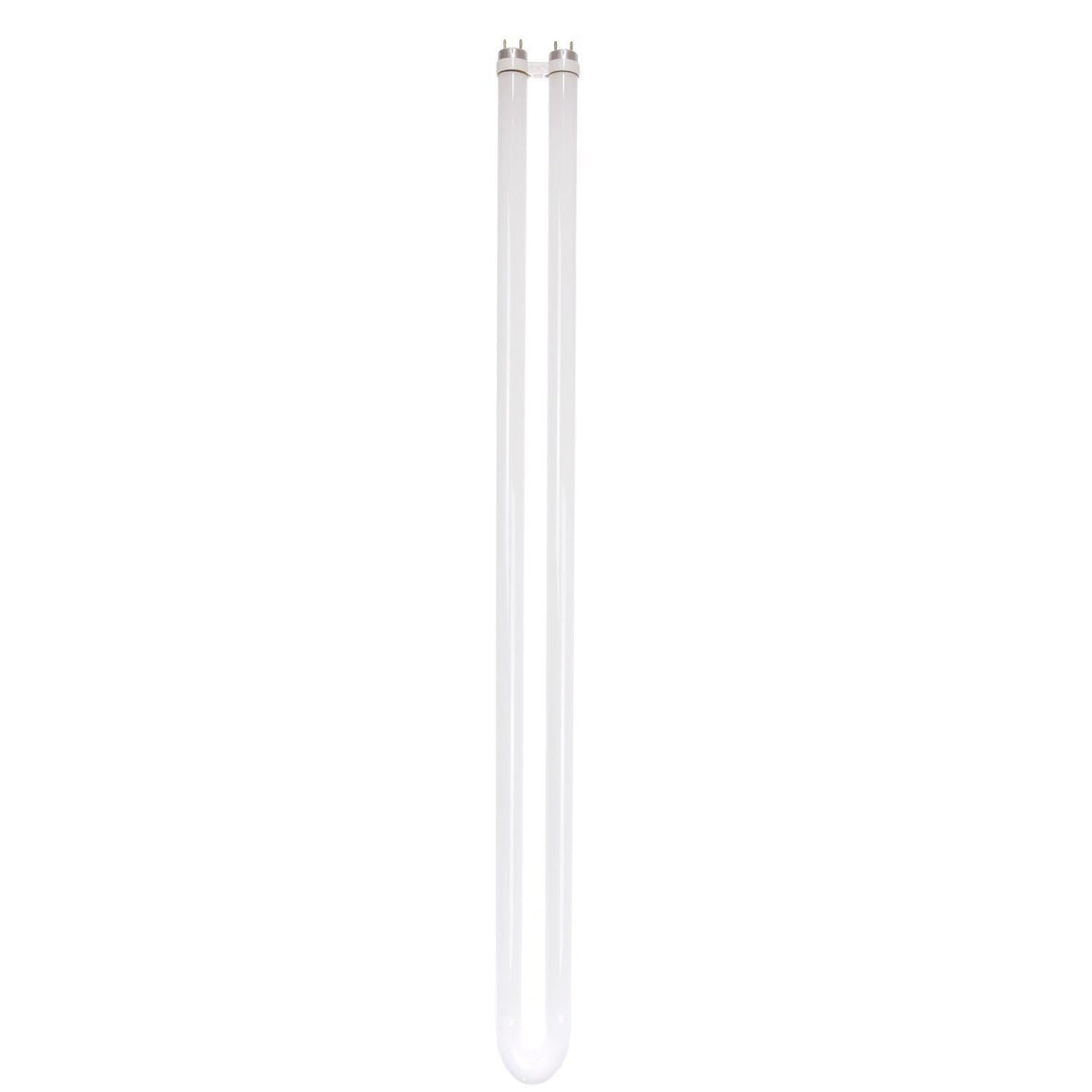 Sunlite U-Bend T8 Linear Fluorescent Lamp, 31 Watts, 3000 Lumens, FB31/SP841, 4100K Cool White, Miniature G5 Bi-Pin Base, ROHS Compliant (Pack of 12)