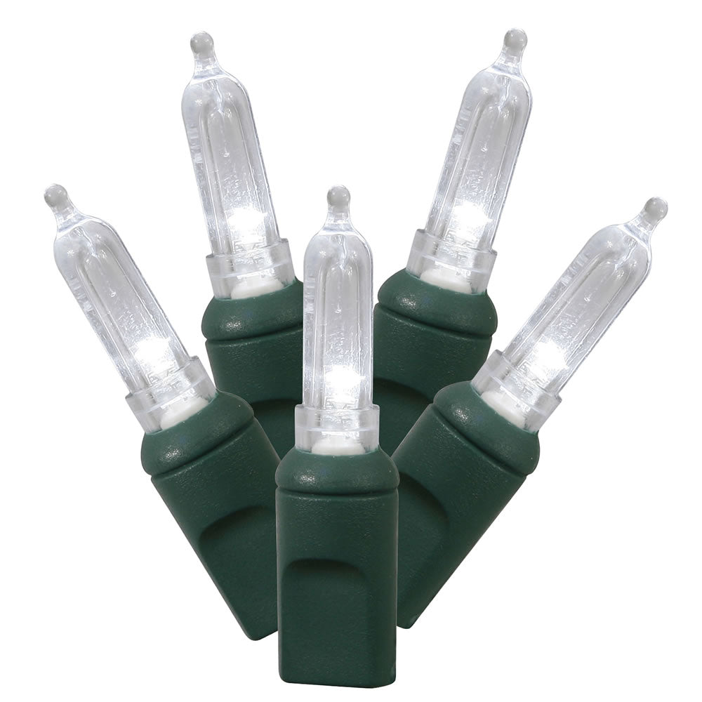 Vickerman 50 Pure White Italian LED Light on Green Wire, 25' Christmas Single Mold Light Strand- 2 Pack