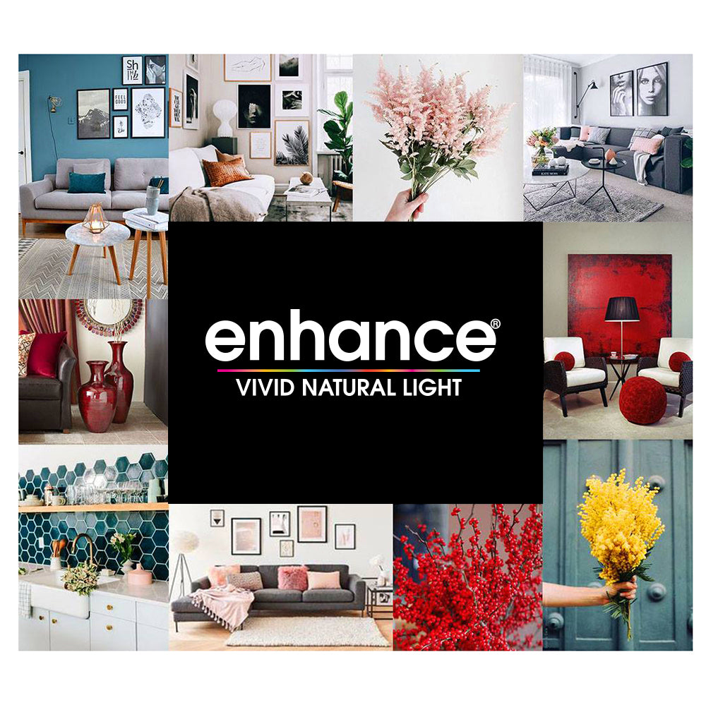 75-Watt Equivalent A19 Bright White General Purpose LED (2-Pack)