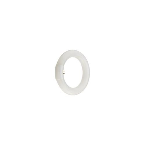 Bulbrite FC6T9CW 20 Watt Fluorescent Circline T9 Bulb, G10q Base, Cool White