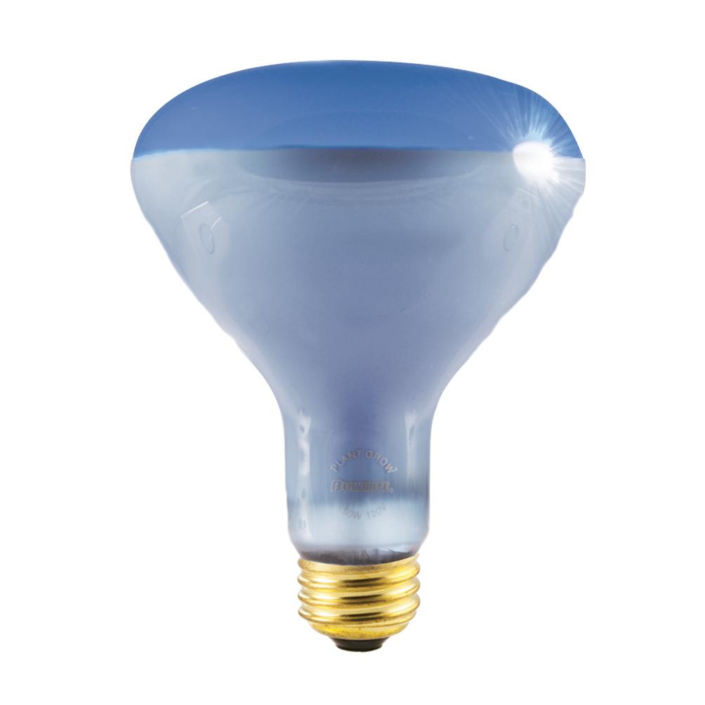 BULBRITE INCANDESCENT R40 MEDIUM SCREW (E26) 150W DIMMABLE LIGHT BULB PLANT GROWTH 4PK (710415)