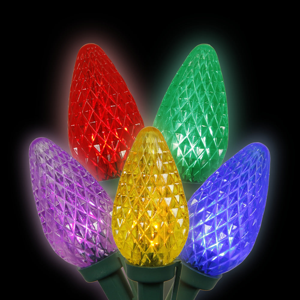 Vickerman 25 Multi-Colored C9 LED Light on Green Wire, 16' Christmas Single Mold Light Strand- 2 Pack