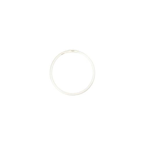 Bulbrite FC12T5/830 12 Watt Fluorescent Circline T5 Bulb, 800 Series, 2GX13 Base, Soft White