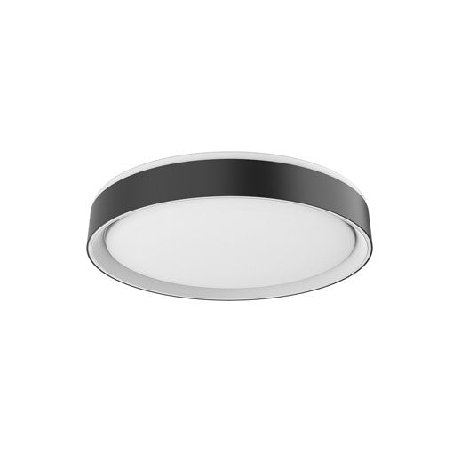 Essex FM43916 BK/WH Ceiling Light Fixture