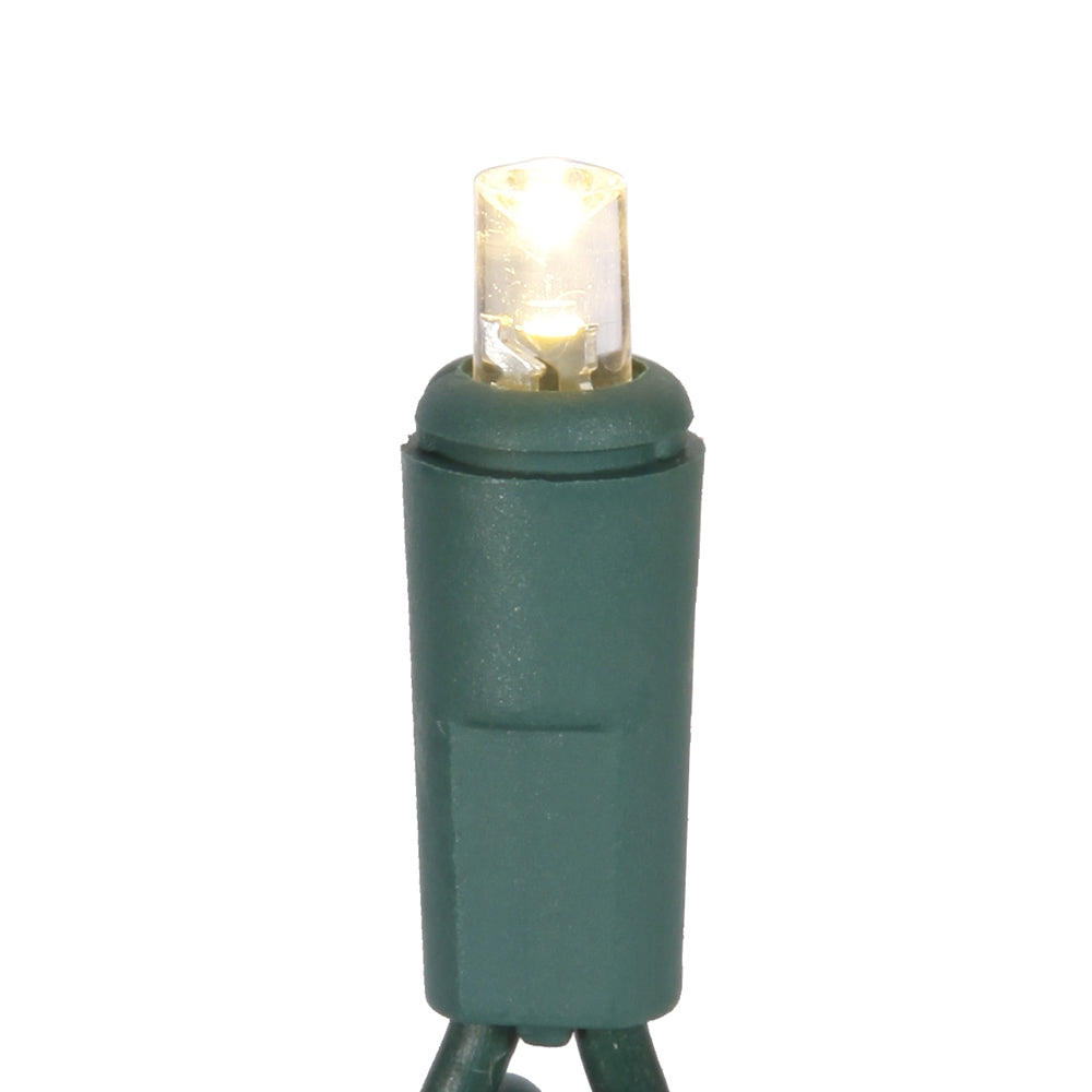 Vickerman 50 Warm White Twinkle Wide Angle LED Light on Green Wire, 25' Light Strand.- 2 Pack