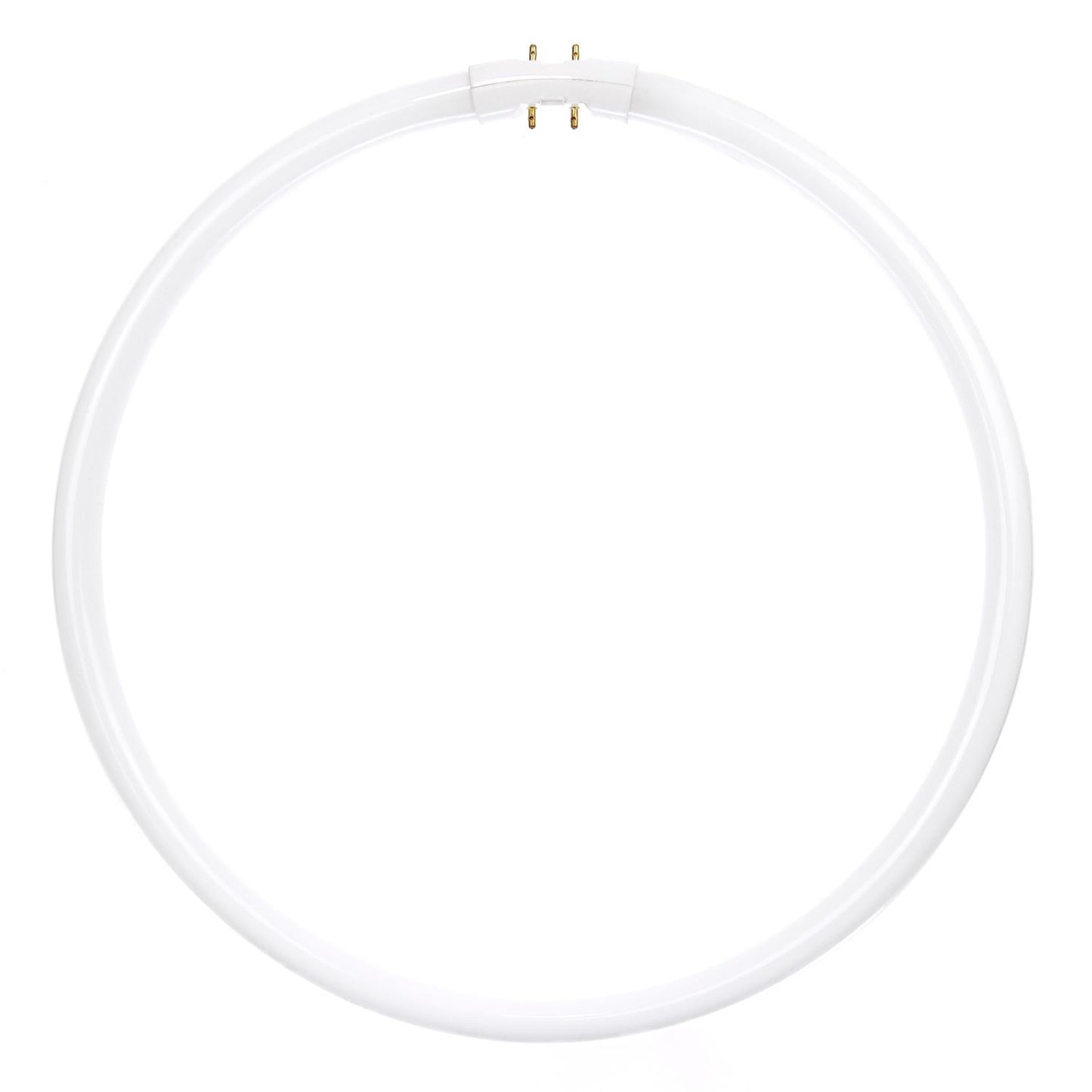 Sunlite 40 Watt T5 Circline, 2GX13 Base, Neutral White