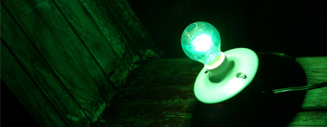 Green Light Bulb Guide