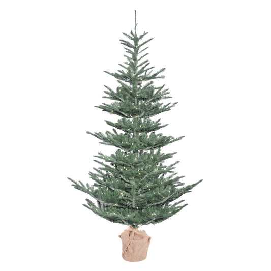 Vickerman 5' Alberta Blue Spruce Artificial Christmas Tree Warm White Dura-lit LED Lights