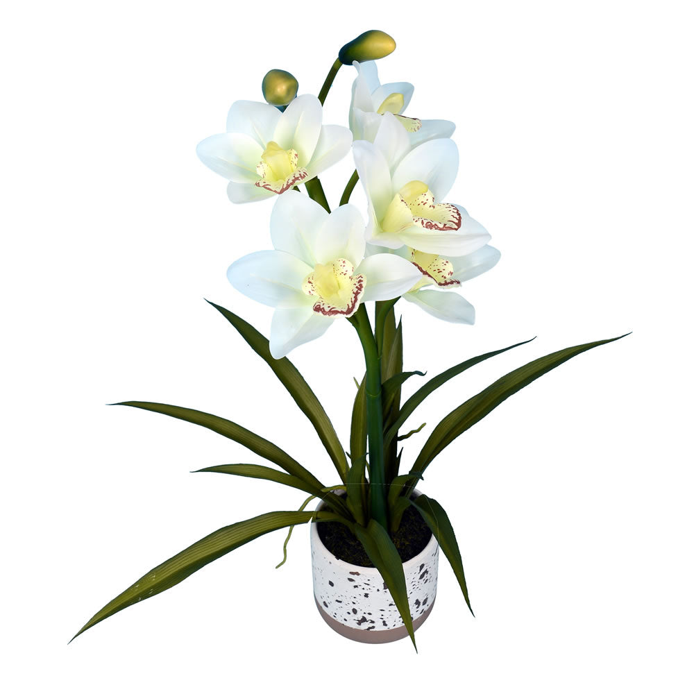 Vickerman 19" Artificial White Cymidium In Pot.