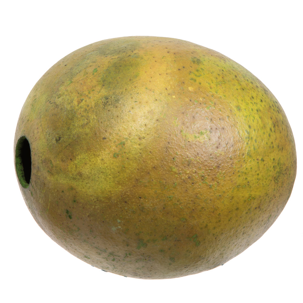 Vickerman 6-7" h x 6-8" w Basil Bacacuia Gourd 1 piece Dried