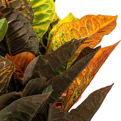 Vickerman 30" Artificial Croton Real Touch Potted Plant.