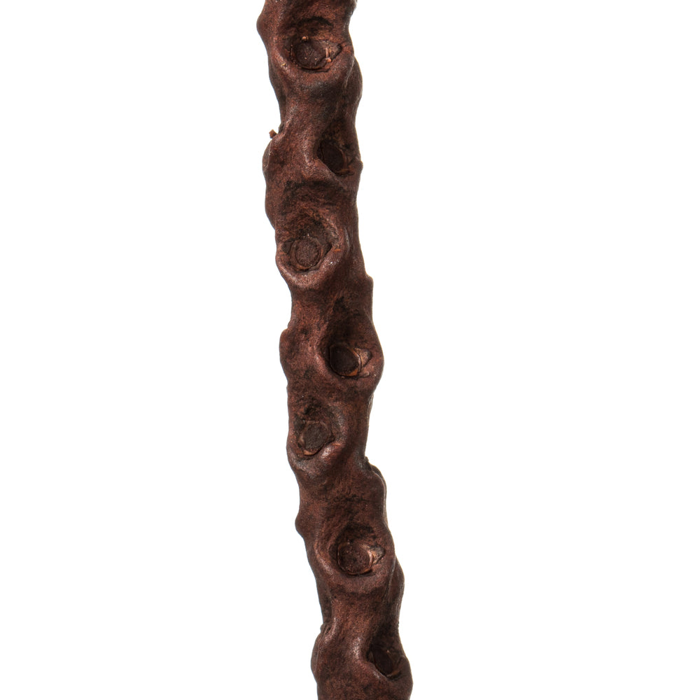 Vickerman 36-40" Dark Brown Caba Spine Bundle. Includes 24oz (3 -8oz Bundles) Dried
