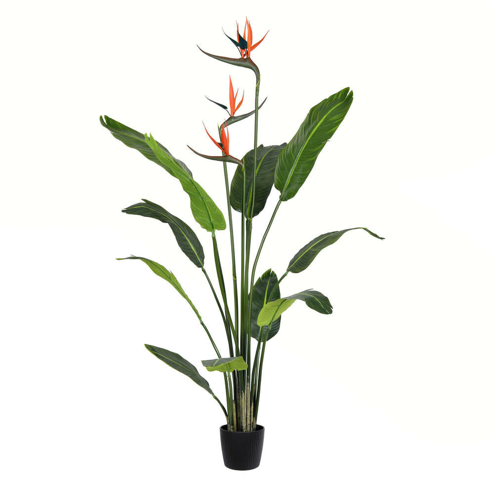Vickerman 4' Artificial Potted Bird of Paradise Palm Tree.