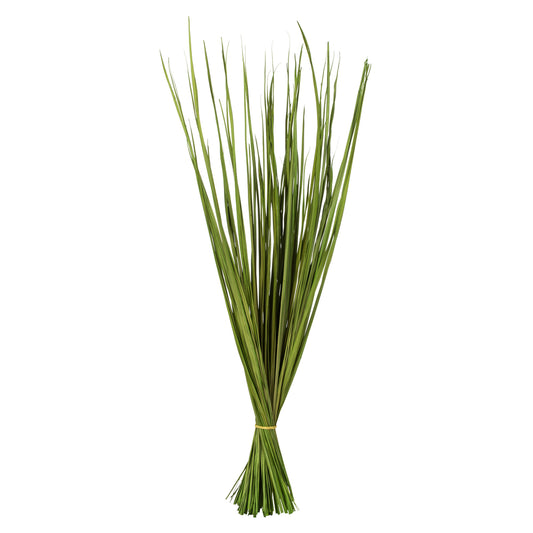 Vickerman 28-32" Basil Wild Flax Grass. Comes in 12oz (3 -4 oz Bundles) Dried