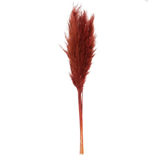 Vickerman 46" Dried Bordeaux Pampas Grass 6 pack. It includes two stems. Recommended for Indoor.