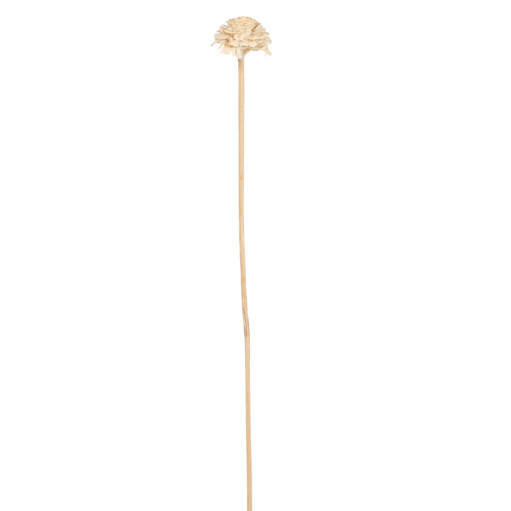 Vickerman Natural Botanicals 1.3"-1.75" Cedar Rose Bleached on Stem. Includes 50 pieces per polybag.