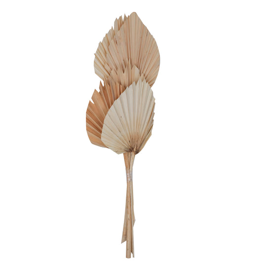Vickerman Natural Botanicals 20" Bleached King Palm Spear. Includes 10 Pieces per Bunch.