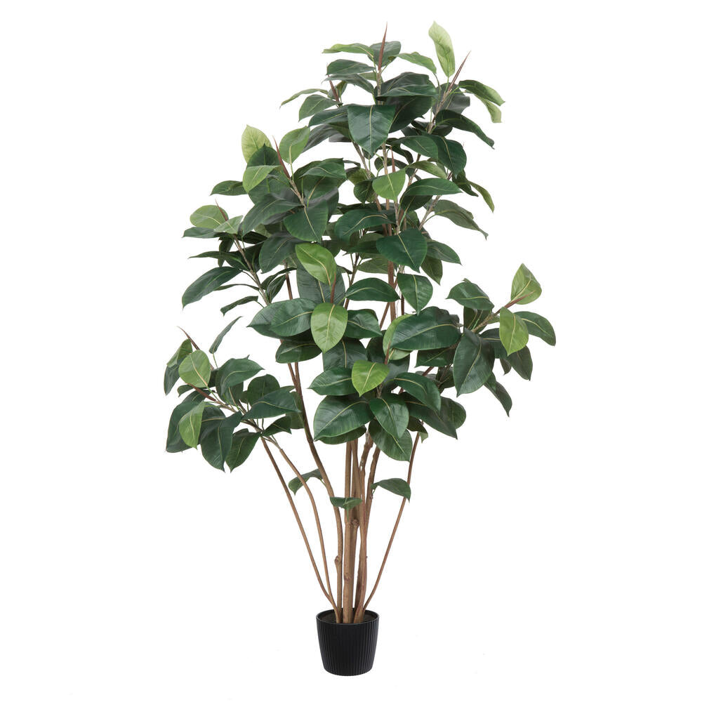 Vickerman 6' Potted Artificial Green Rubber Tree.