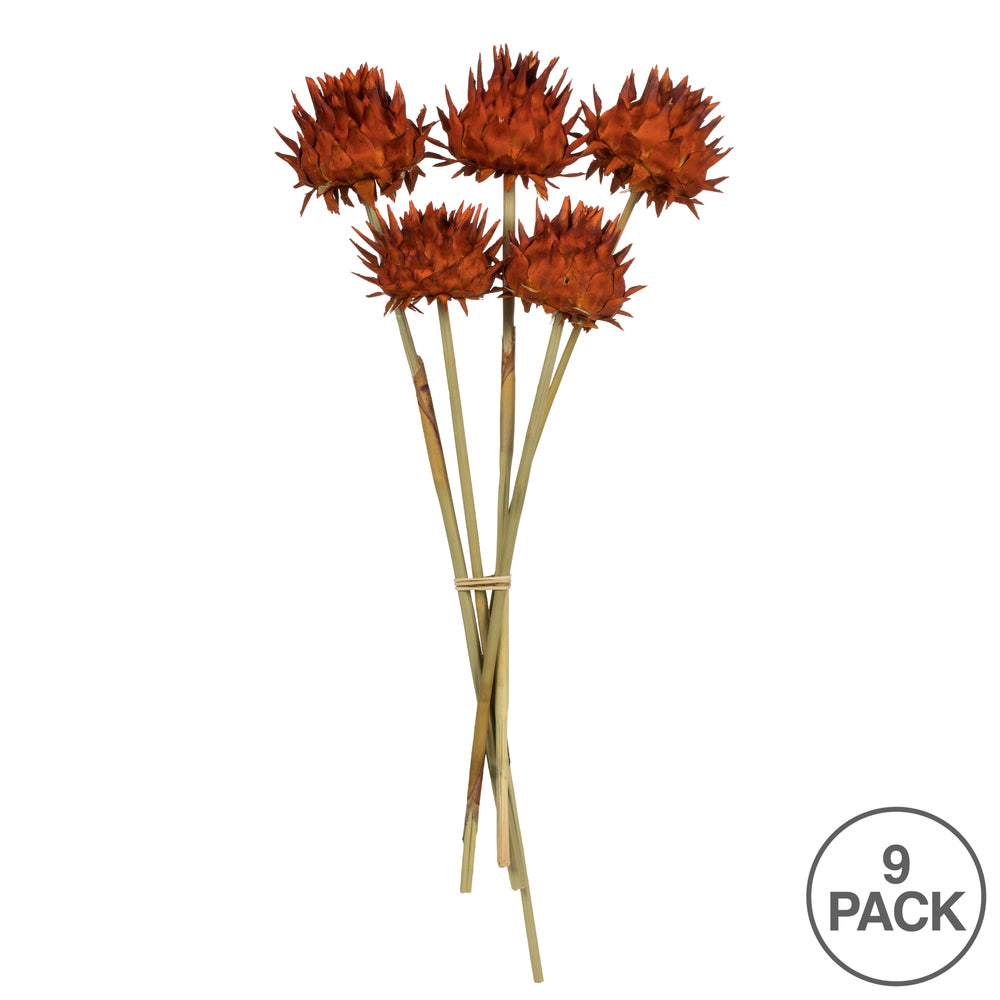Vickerman 15" Autumn Artichoke Head attached to a Reed Stem Dried