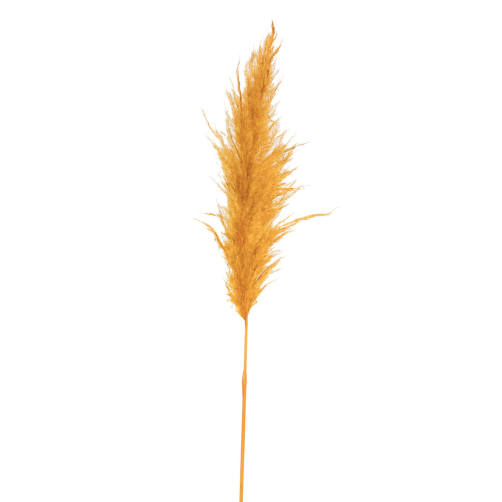Vickerman 46" Dried Aspen Gold Pampas Grass 6 pack. It includes two stems. Recommended for Indoor.