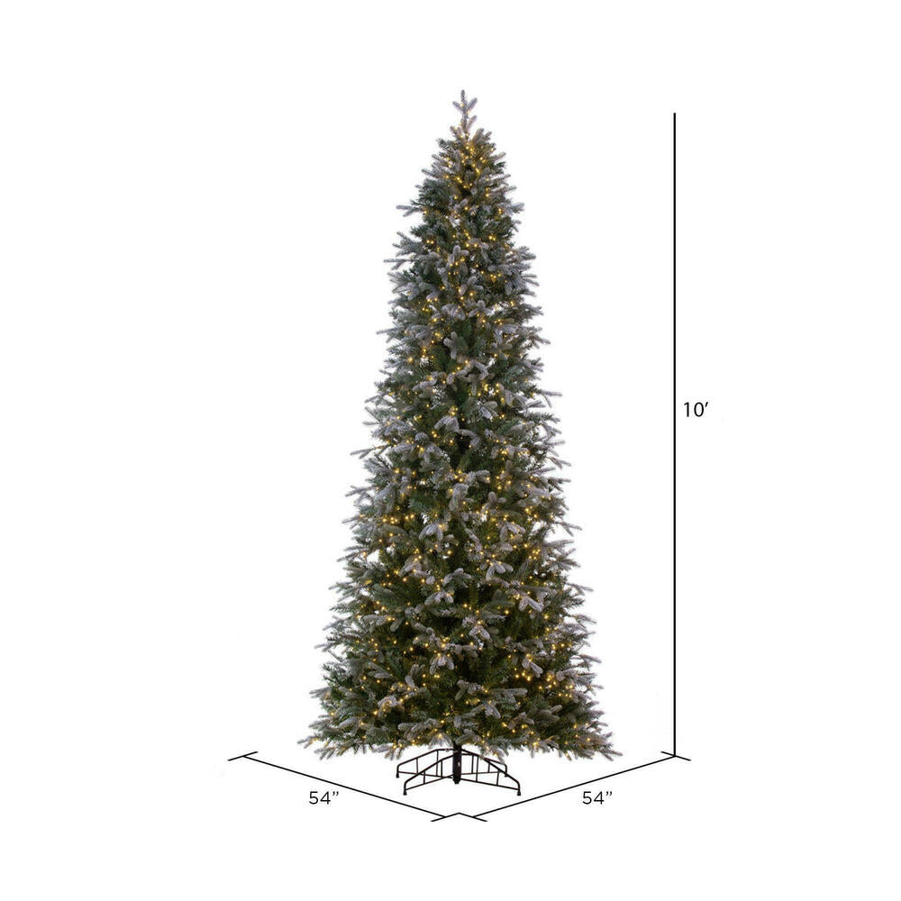 Vickerman 10' x 54" Frosted Douglas Fir Artificial Pre-Lit Christmas Tree Warm White 3mm LED Lights.