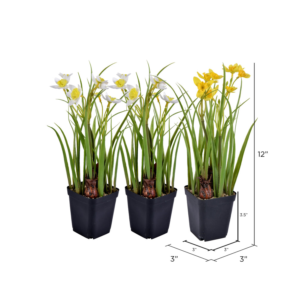 Vickerman 12" Artificial Daffodils in Black Plastic Planters Pots Set of 3.