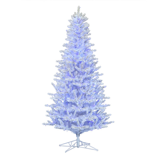 Vickerman 10' x 60" Shiny White Spruce Artificial Christmas Tree Pure White and Blue Low Voltage Wide Angle LED Twinkle Lights
