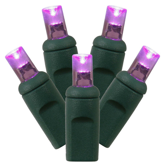 Vickerman 70 PurpleTwinkle LED Light on Green Wire 4" Spacing x 24' Long Light Strand.