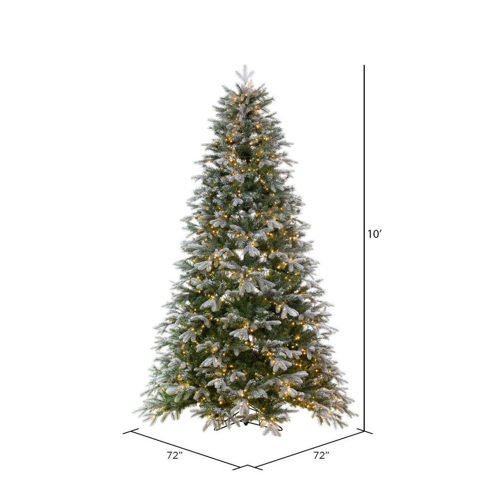 Vickerman 10' x 72" Frosted Douglas Fir Artificial Pre-Lit Christmas Tree Warm White 3mm LED Lights.
