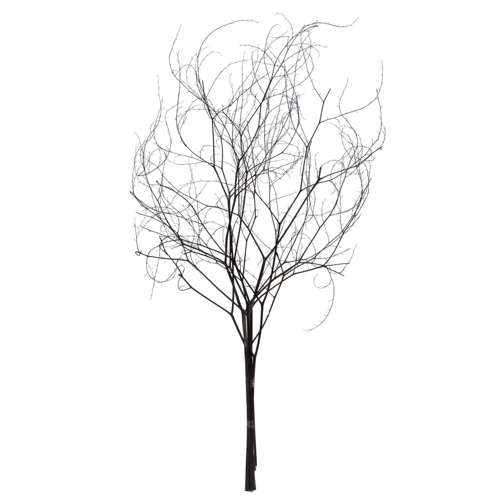 Vickerman 18-20" Natural Brown Skeleton Branch 3 packs (2 per pack) Dried