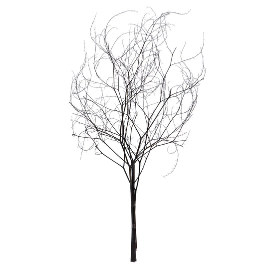 Vickerman 18-20" Natural Brown Skeleton Branch 3 packs (2 per pack) Dried