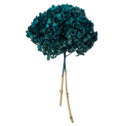 Vickerman 15" Blue Hydrangea with Multiple Branch Segments. Preserved