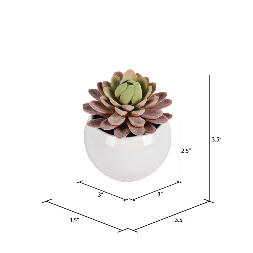 Vickerman 3.5" Artificial Green Succulents Assorted Set in Containers 4/pk