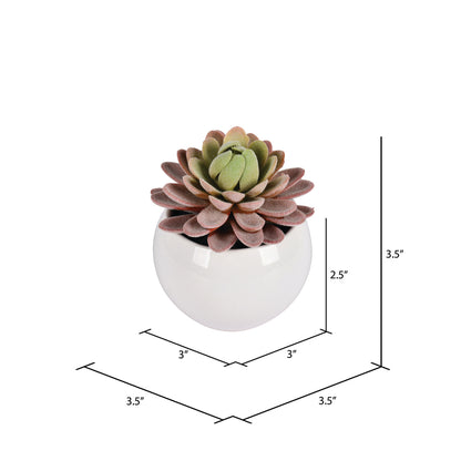 Vickerman 3.5" Artificial Green Succulents Assorted Set in Containers 4/pk