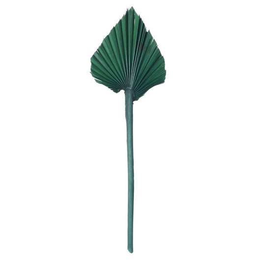 Vickerman Natural Botanicals 15.75 - 19.5" Emerald Dried Palm Spear 12 per bag.
