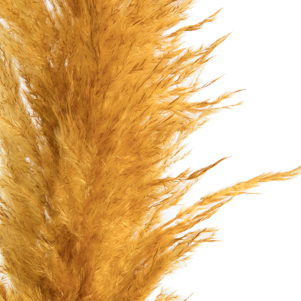 Vickerman 46" Dried Aspen Gold Pampas Grass 6 pack. It includes two stems. Recommended for Indoor.