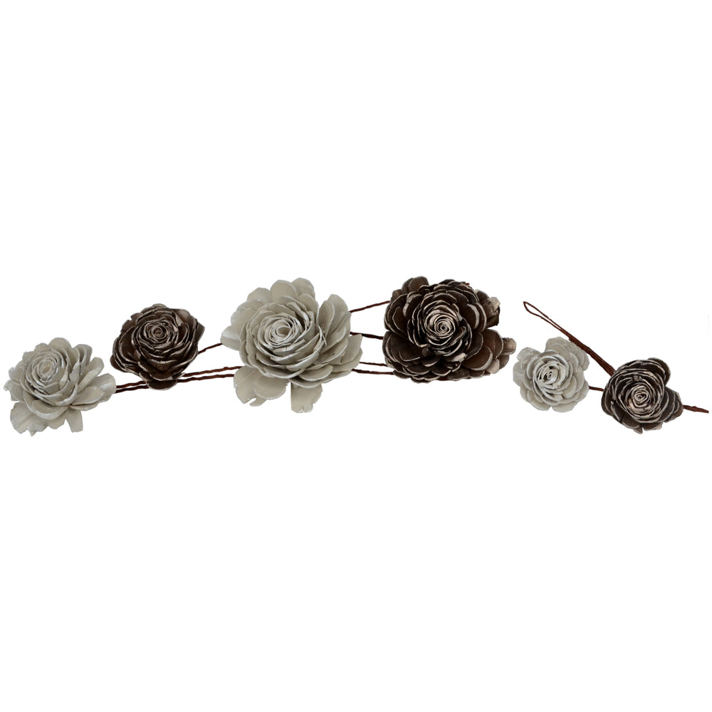Vickerman 2"- 6" White Champagne Sola Rose Assorted 23 per Window Box Dried