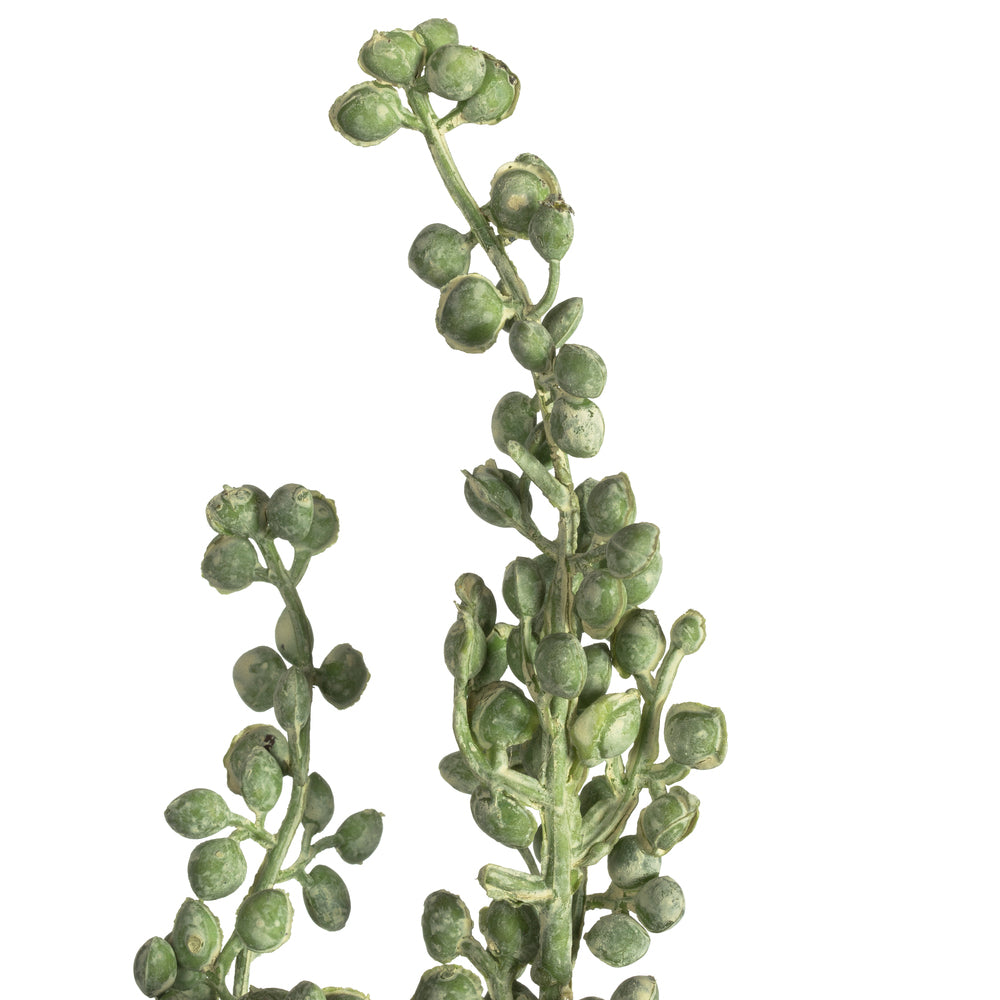 Vickerman 22" Artificial Rust Green Senecio Spray. Includes 6 sprays per pack.
