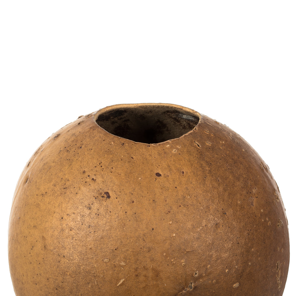 Vickerman 6-7"H x 6-8"W Natural Bacacuia Gourd Set of 3 Dried