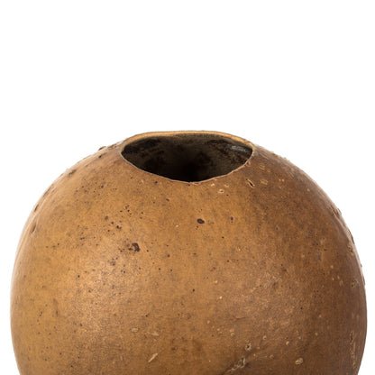 Vickerman 6-7"H x 6-8"W Natural Bacacuia Gourd Set of 3 Dried