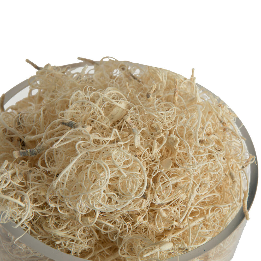 Vickerman Natural Botanicals Curly Moss Bleached. Includes 2.2 Lbs per pack